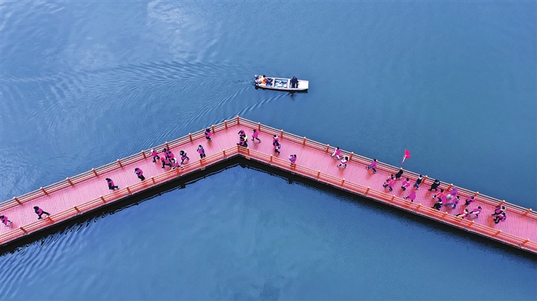 今夏,一起來打卡鵝湖